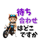 ツーリング♡バイク好き (春夏)（個別スタンプ：12）