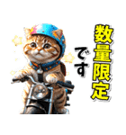 ツーリング♡バイク好き (春夏)（個別スタンプ：30）