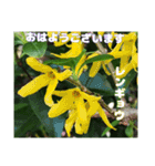 4月のお花でご挨拶（個別スタンプ：2）