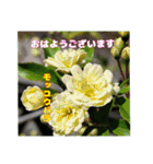 4月のお花でご挨拶（個別スタンプ：4）
