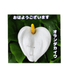 4月のお花でご挨拶（個別スタンプ：10）