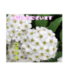 4月のお花でご挨拶（個別スタンプ：11）