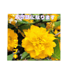 4月のお花でご挨拶（個別スタンプ：18）