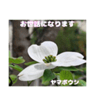 4月のお花でご挨拶（個別スタンプ：19）