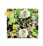 4月のお花でご挨拶（個別スタンプ：23）