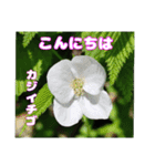 4月のお花でご挨拶（個別スタンプ：24）