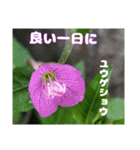 4月のお花でご挨拶（個別スタンプ：27）