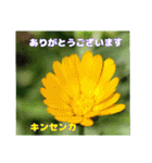 4月のお花でご挨拶（個別スタンプ：32）