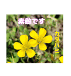 4月のお花でご挨拶（個別スタンプ：33）