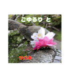 4月のお花でご挨拶（個別スタンプ：36）
