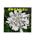 4月のお花でご挨拶（個別スタンプ：38）