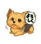 MOCHA＆COCOA（個別スタンプ：3）