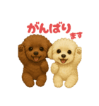 トイプードルのメロとチル（個別スタンプ：13）