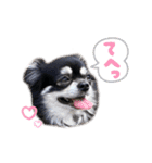 ひなた＆ふうたの愉快なスタンプ（個別スタンプ：6）