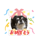 ひなた＆ふうたの愉快なスタンプ（個別スタンプ：10）