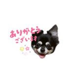 ひなた＆ふうたの愉快なスタンプ（個別スタンプ：12）