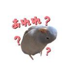 ひなた＆ふうたの愉快なスタンプ（個別スタンプ：20）
