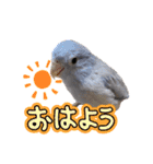 ひなた＆ふうたの愉快なスタンプ（個別スタンプ：22）