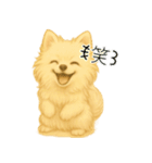 ポメさんとの日々。3（個別スタンプ：3）