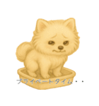 ポメさんとの日々。3（個別スタンプ：7）