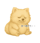 ポメさんとの日々。3（個別スタンプ：16）