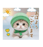 メロン帽が可愛い スコティッシュ猫3 敬語（個別スタンプ：1）