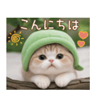メロン帽が可愛い スコティッシュ猫3 敬語（個別スタンプ：2）