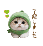 メロン帽が可愛い スコティッシュ猫3 敬語（個別スタンプ：9）