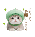 メロン帽が可愛い スコティッシュ猫3 敬語（個別スタンプ：10）