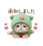 メロン帽が可愛い スコティッシュ猫3 敬語（個別スタンプ：12）