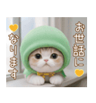 メロン帽が可愛い スコティッシュ猫3 敬語（個別スタンプ：13）