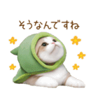 メロン帽が可愛い スコティッシュ猫3 敬語（個別スタンプ：17）