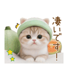 メロン帽が可愛い スコティッシュ猫3 敬語（個別スタンプ：19）