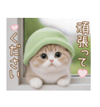 メロン帽が可愛い スコティッシュ猫3 敬語（個別スタンプ：23）