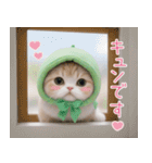 メロン帽が可愛い スコティッシュ猫3 敬語（個別スタンプ：30）