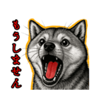 シバイヌの叫び【敬語・日常挨拶】（個別スタンプ：12）