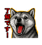 シバイヌの叫び【敬語・日常挨拶】（個別スタンプ：17）