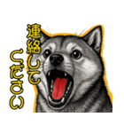 シバイヌの叫び【敬語・日常挨拶】（個別スタンプ：21）