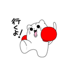 ニャンコボクサー（個別スタンプ：20）