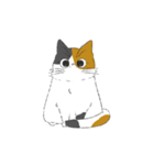 みけねこのぶく（個別スタンプ：1）