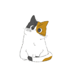みけねこのぶく（個別スタンプ：3）