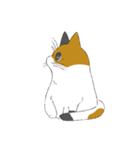 みけねこのぶく（個別スタンプ：4）