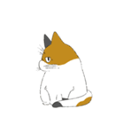みけねこのぶく（個別スタンプ：5）