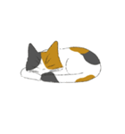 みけねこのぶく（個別スタンプ：8）