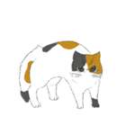 みけねこのぶく（個別スタンプ：9）