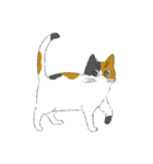 みけねこのぶく（個別スタンプ：10）