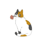 みけねこのぶく（個別スタンプ：13）
