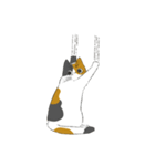 みけねこのぶく（個別スタンプ：14）