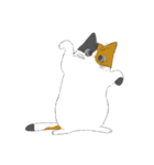 みけねこのぶく（個別スタンプ：18）