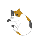 みけねこのぶく（個別スタンプ：19）